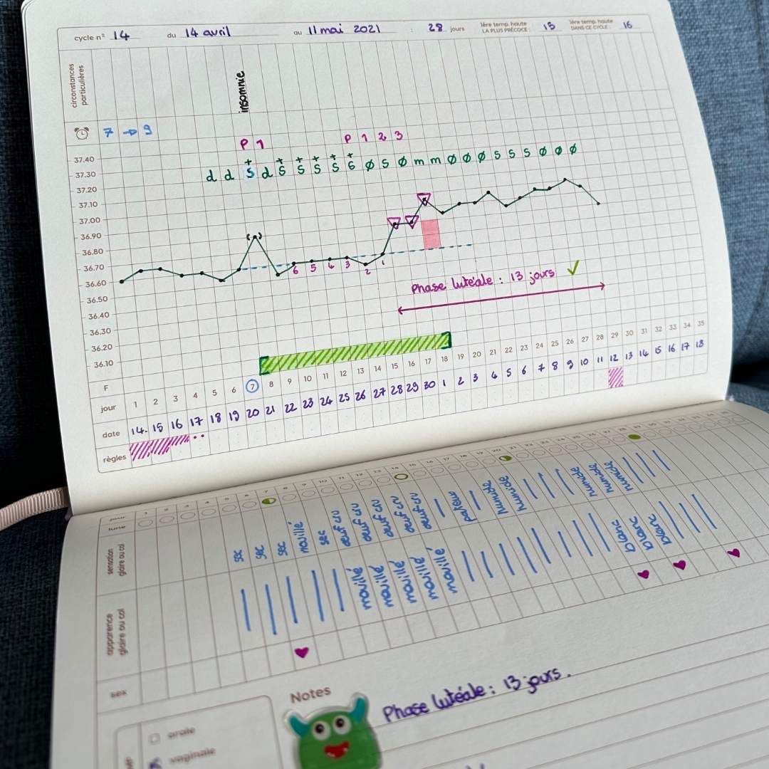 Agenda menstruel pour la symptothermie - Magic Ovaries – Image 3
