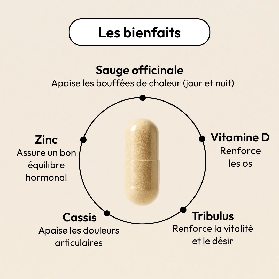 Compléments alimentaires Ménopause et Articulations - Oemeno Equilibrist – Image 4