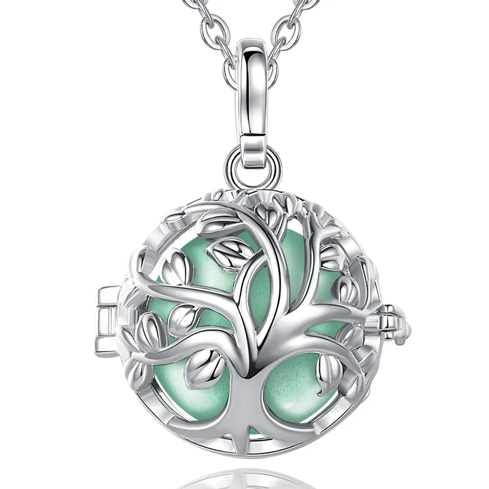 Bola ENCYCLIA – Image 9