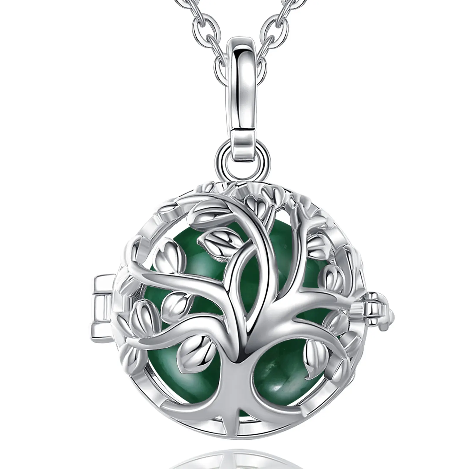 Bola ENCYCLIA – Image 4