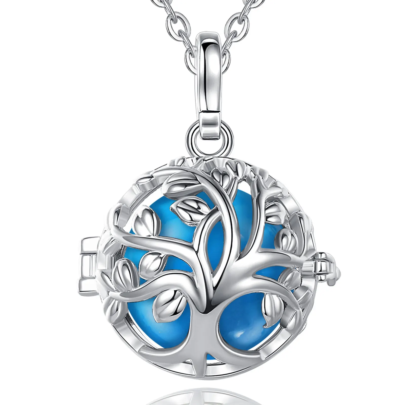 Bola ENCYCLIA – Image 8