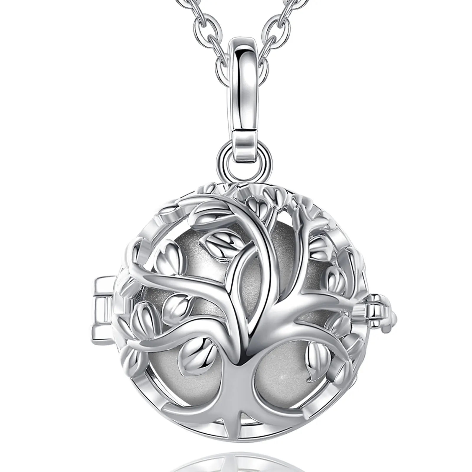 Bola ENCYCLIA – Image 2