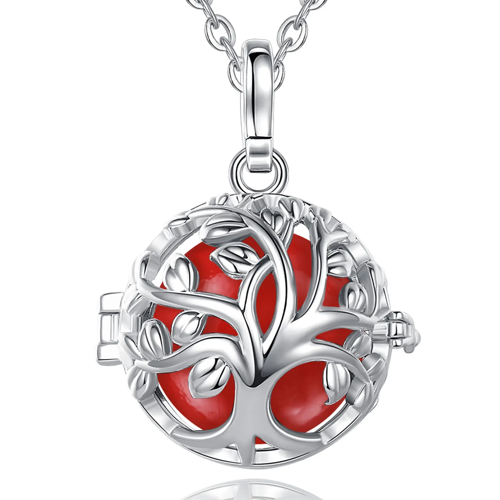 Bola ENCYCLIA – Image 7