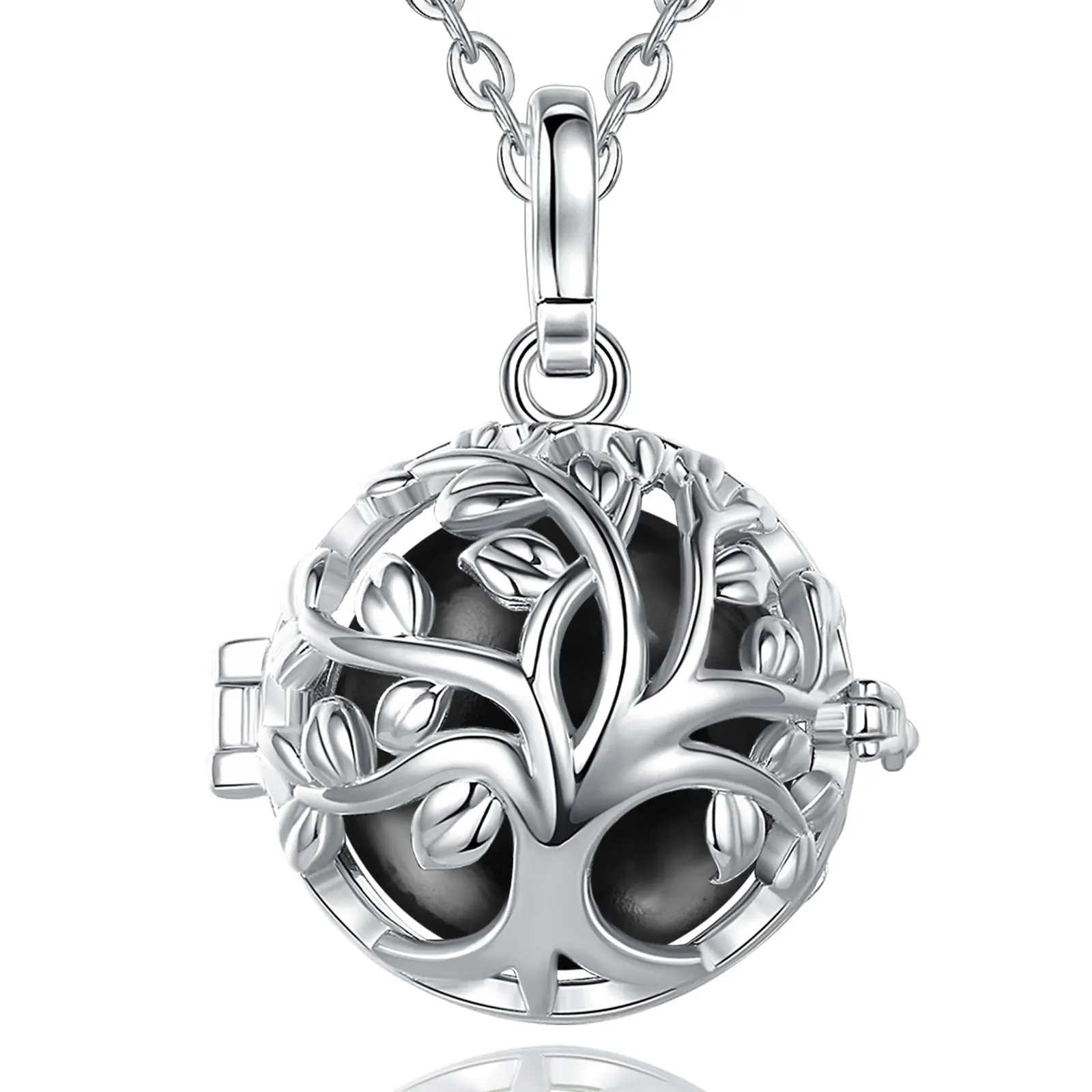 Bola ENCYCLIA – Image 3