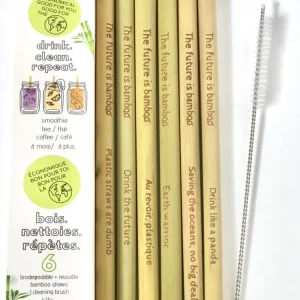 Paille en Bambou paquet de 6